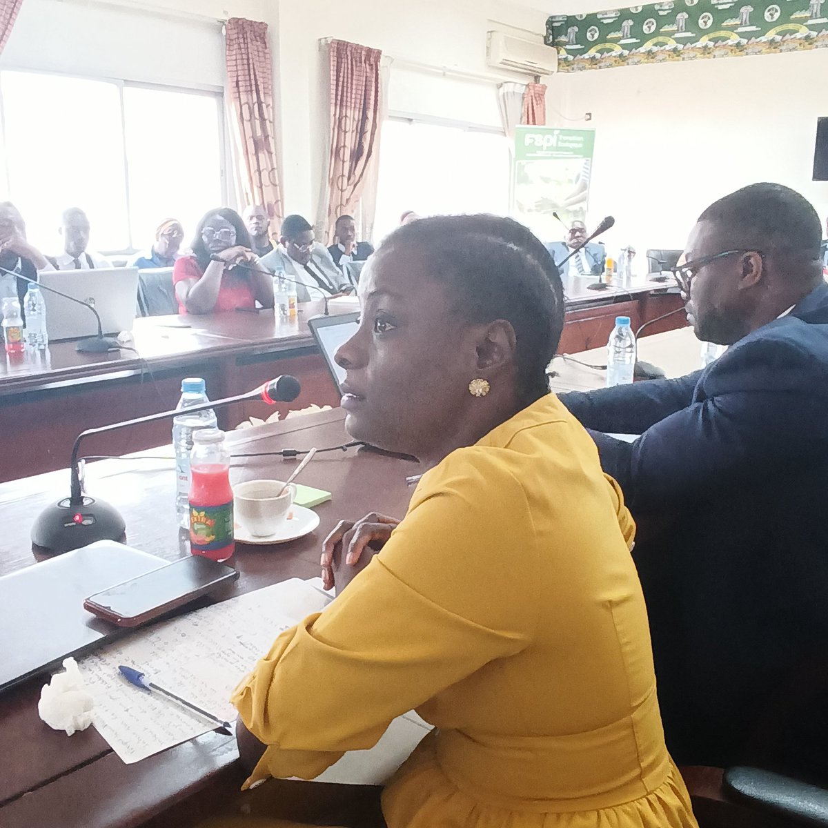 Esso Rosy-Mamiah, la vice-présidente  du <a href="/csrnsaf/">Conseil Nouveau Sommet Afrique France</a>
a présenté  les grands axes du projet « Institut Afrique-Europe pour l’Innovation Verte » (IAEIV) qui devrait faciliter l'innovation dans le domaine de  l'écologie.
 #FSPITransitionEcologique
@TheOKwellians
@FSPITransition