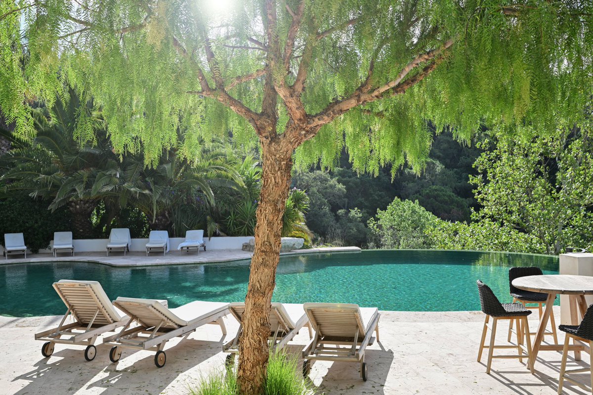 Poolside at Finca Avedin. ☀️☀️