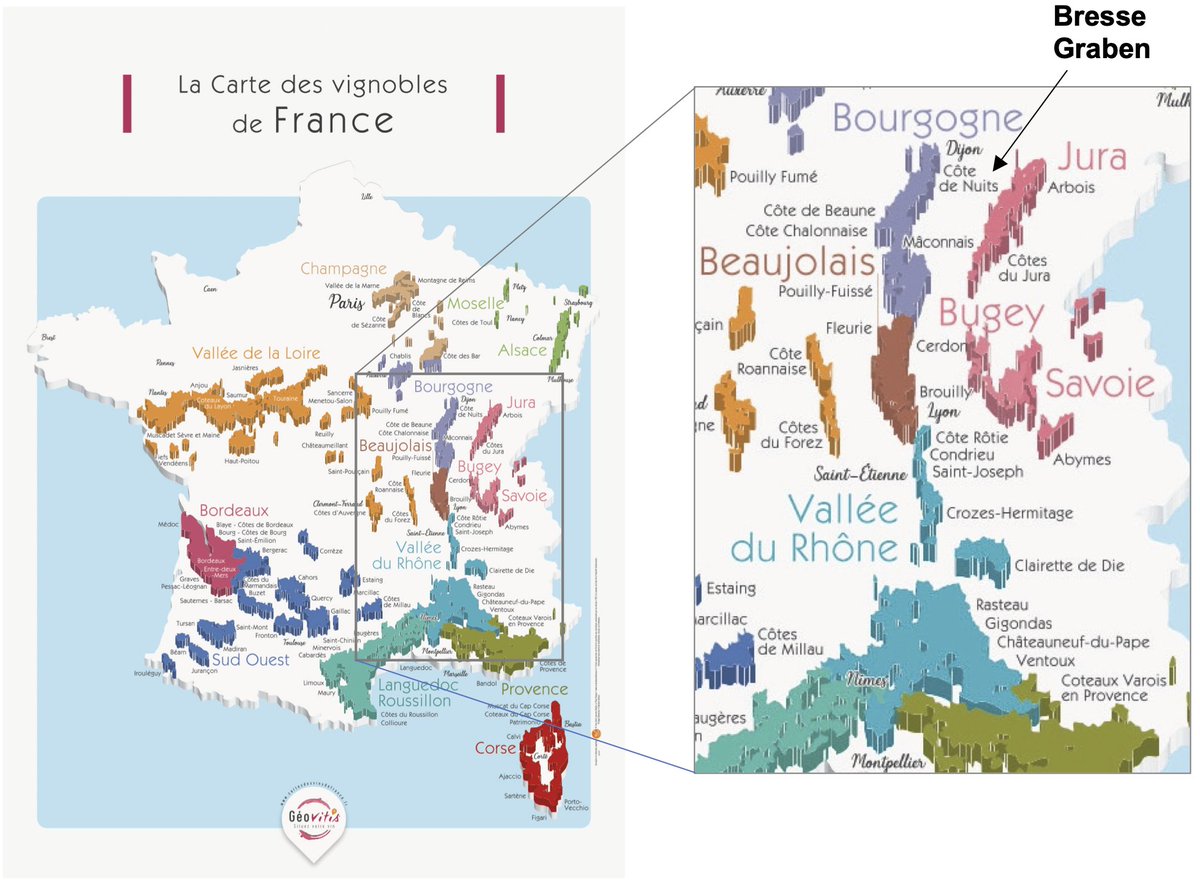 geotdf's tweet image. Geology shapes the landscape but also how to use it. 

The Bresse Graben along stage six made for great transport routes and fabulous wine.

But what is a Graben and why are they relevant? 

First of all, they show the results of millions of years of plate tectonics but they also…