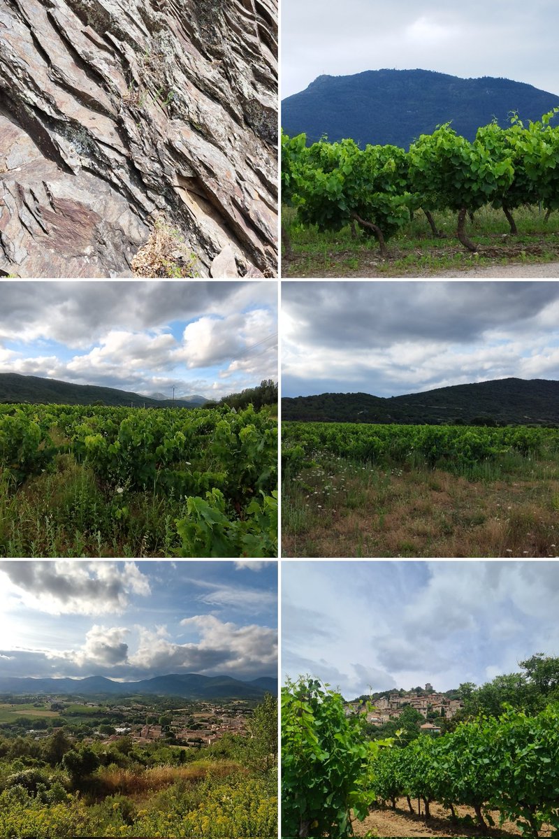 Jesus Gomez tweet media