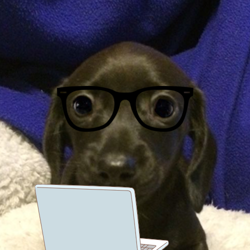 theBellyCTO's tweet photo. just got done setting up my website feeling smart 😎 https://t.co/MCjW7eaRO1
