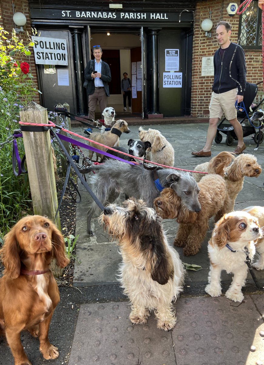 The 5th Dogs at Polling Stations outing for this pack - 2019, 2021, 2022, May 2024 and today! Remembering those original members who’ve since passed 😢 and welcoming our newbies! 

#dogsatpollingstations #GeneralElection2024 #GE2024 #Dulwich