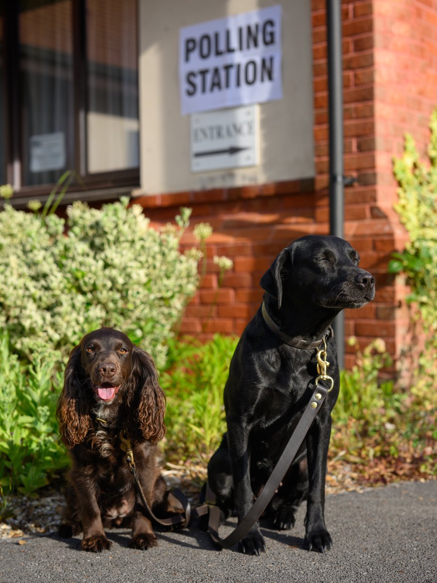 Robin Goodlad Photo tweet media