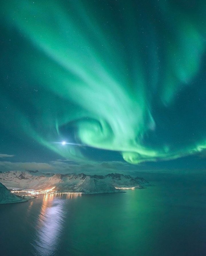 Nirvana Nature tweet media