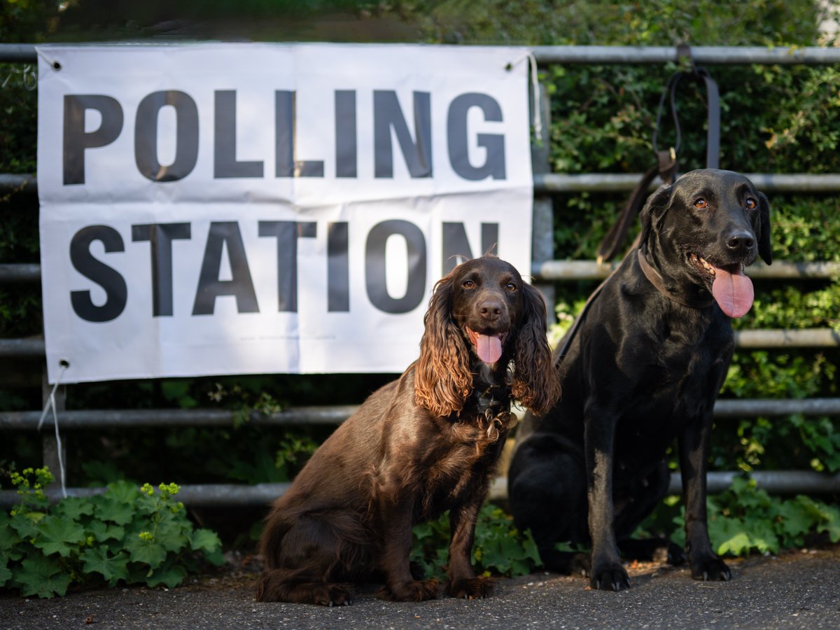 Robin Goodlad Photo tweet media