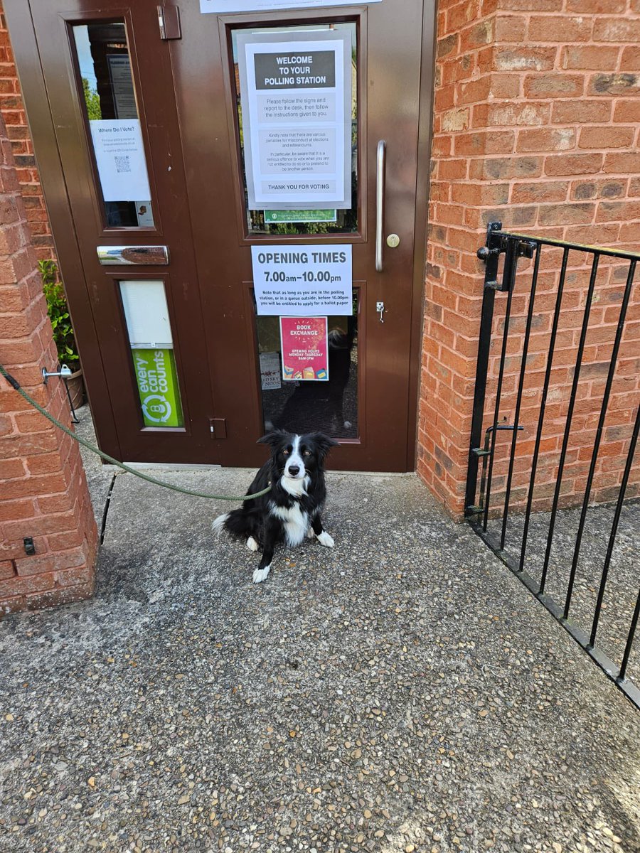 #dogsatpollingstations #Election2024