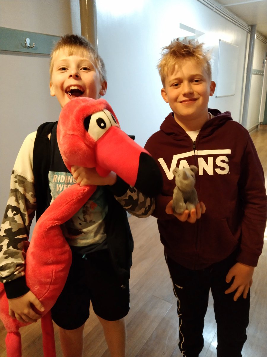 Carr Junior School tweet media