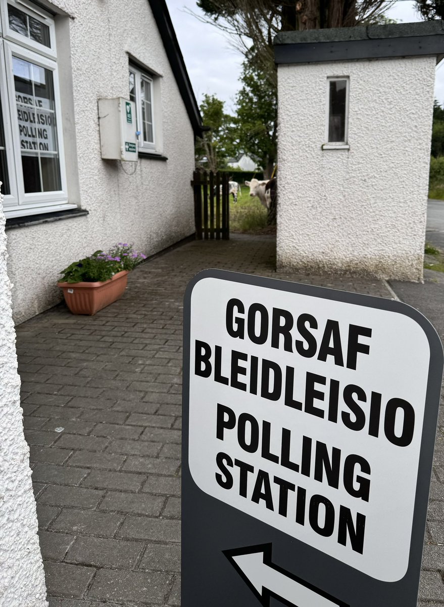 Across UK today: dogs at polling stations 
Llanafan: hold my beer…
#Election2024 #pollingstation 
#dogsatpolls