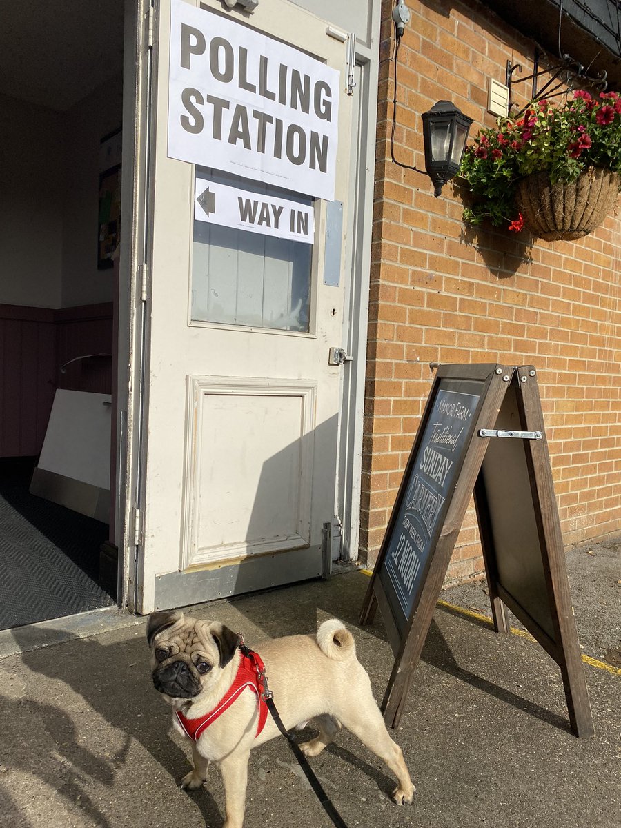 Bob’s first ever trip to a polling station! <a href="/VotingDogs/">#DogsAtPollingStations</a> #dogsatpollingstations