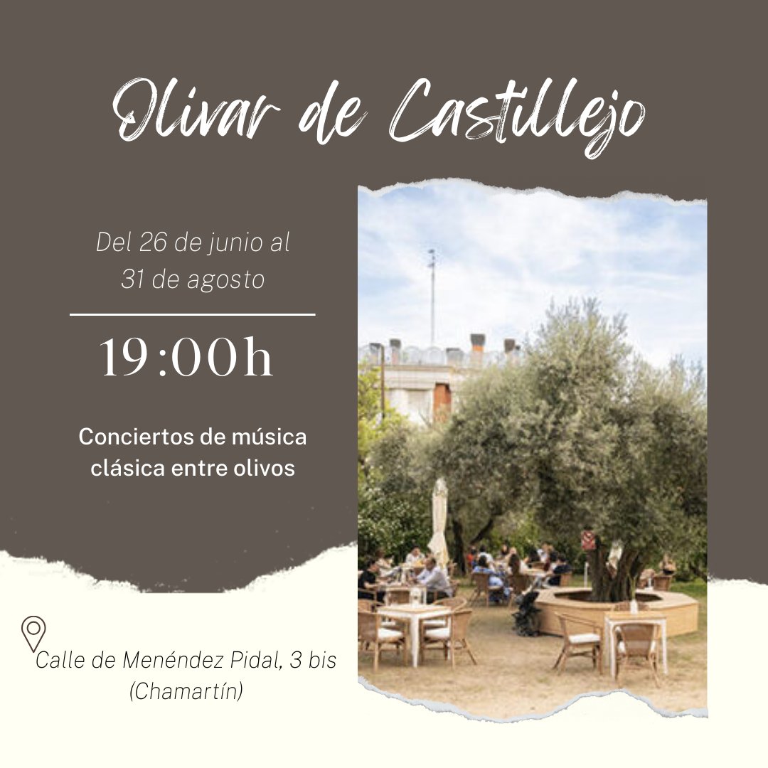 Conciertos de música clásica entre olivos, hasta el 31 de agosto, en el Olivar de Castillejo.
eneasmagazine.com/agenda/especta…