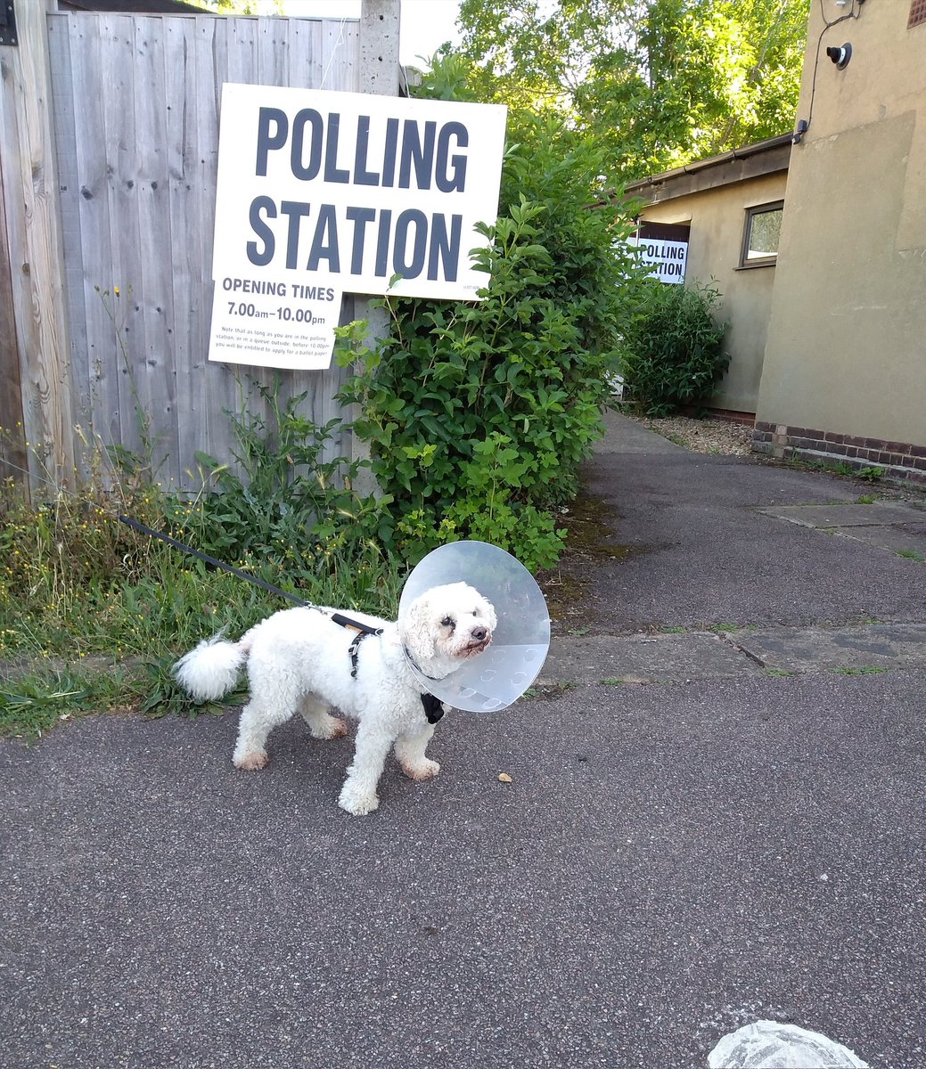 Claire@ClarionEditing tweet media