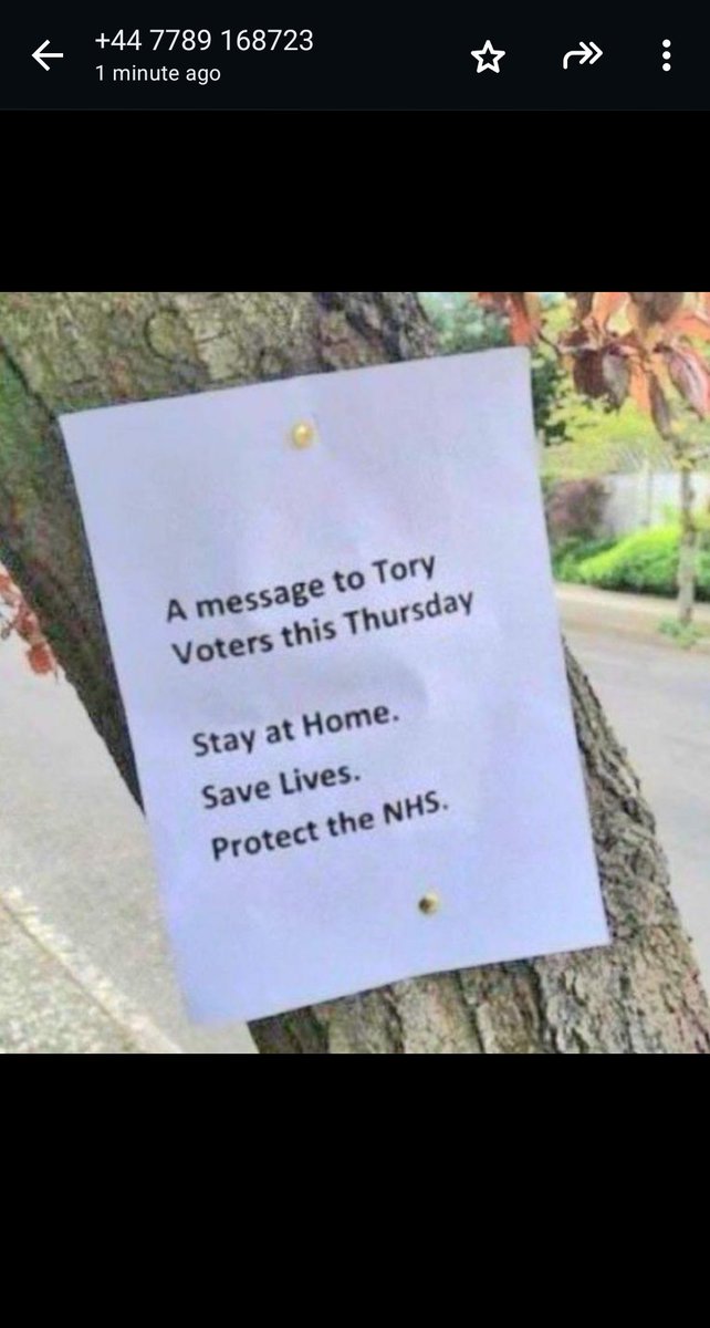 Tom Stocker tweet media