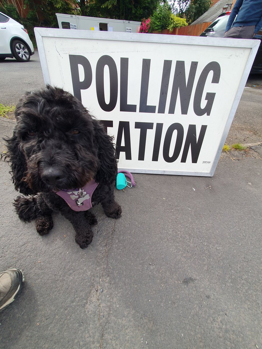 Engage_Heritage's tweet photo. Obviously the only photos you need on your feeds today are #dogsatpollingstations so #heritagehound had to oblige.
#newscast #electioncast https://t.co/zz72uyI4RM