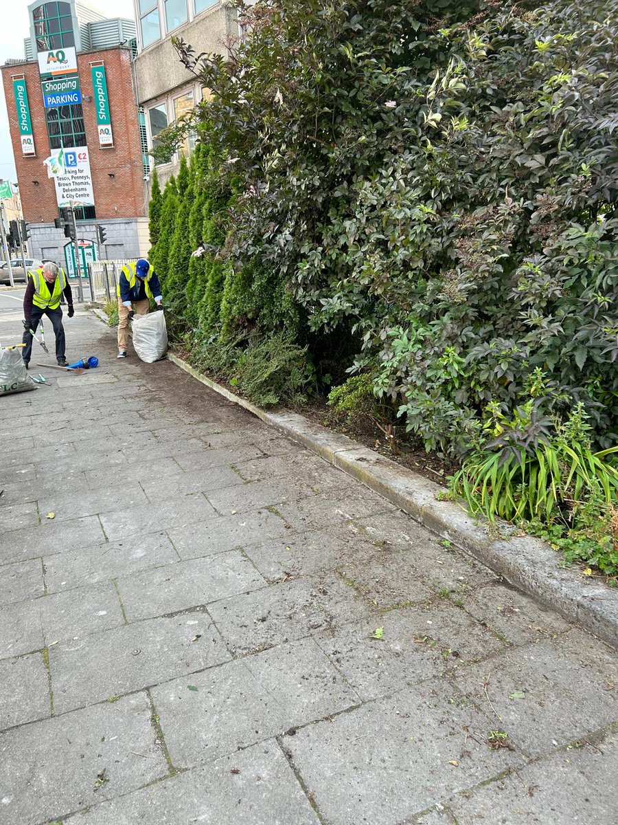 Great work done last night weeding and tidying the garden at the front of the Hunt Museum. Well done team! 👏👏#TidyTowns