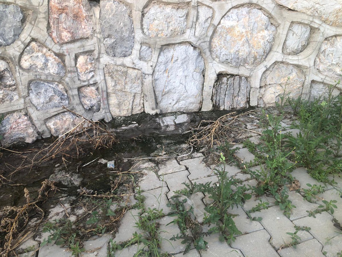 trk_kyn's tweet photo. 3 aydır komşunun bahçesinden sokağa lağım akıyor ve defalarca uyarmamıza rağmen, @menemenbelediye sine kayıt açmamıza rağmen değişen hiçbirşey yok Sokakta salgın hastalık çıktığı zamanmı?Müdahele edeceksiniz. Sağolsunlar belediye gelmiş kontrol etmiş!! @saglikbakanligi @tc_cimer https://t.co/jlSdkkXthQ