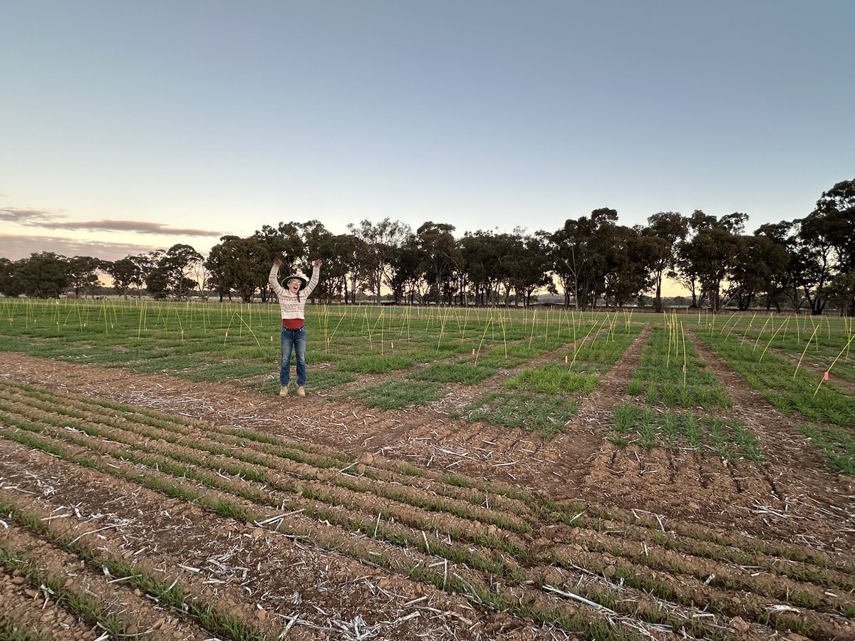 Felicity Harris tweet media