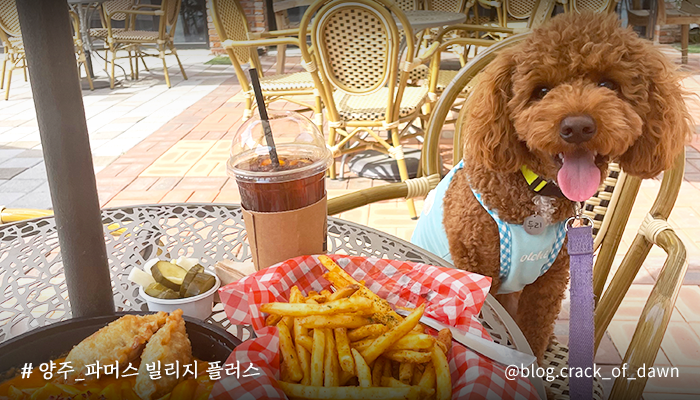 ggholic's tweet image. #원위 #ONEWE #GoodFeeling
#용훈 #강현 #하린 #동명 #기욱

“정말 공기도 상쾌한 아침이야
걷는 발걸음조차 너무 가볍네”

φ(゜▽゜*)♪ 오늘의 추천 곡은?
🎵원위(ONEWE)-Good Feeling

알람 없이 눈이 떠진 아침,
여유로운 발걸음으로 브런치는 어때요?