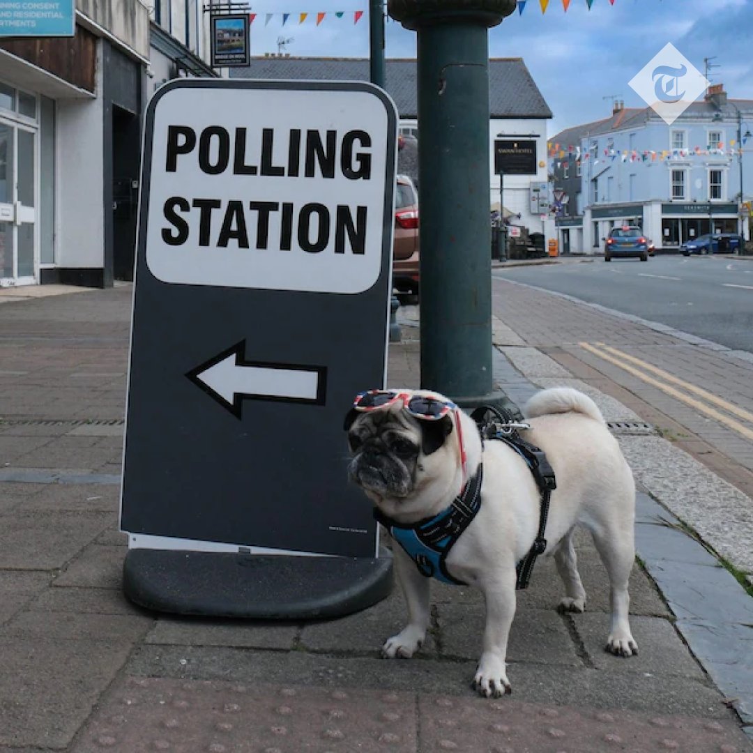 Telegraph Politics tweet media