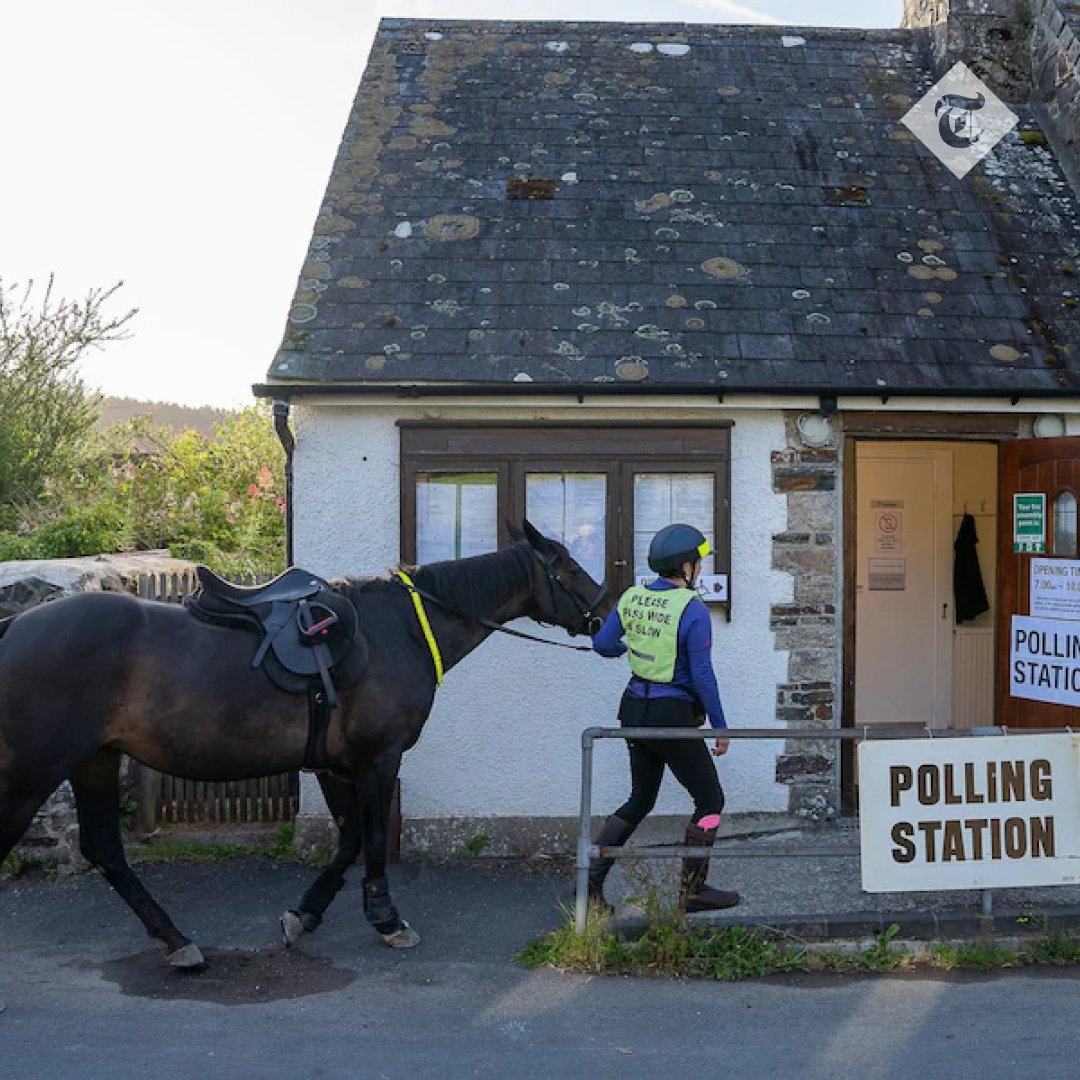 Telegraph Politics tweet media