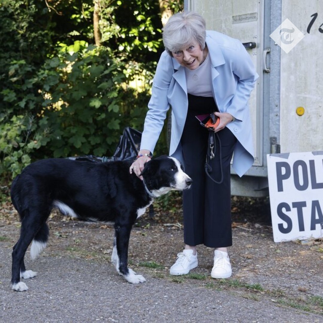 Telegraph Politics tweet media