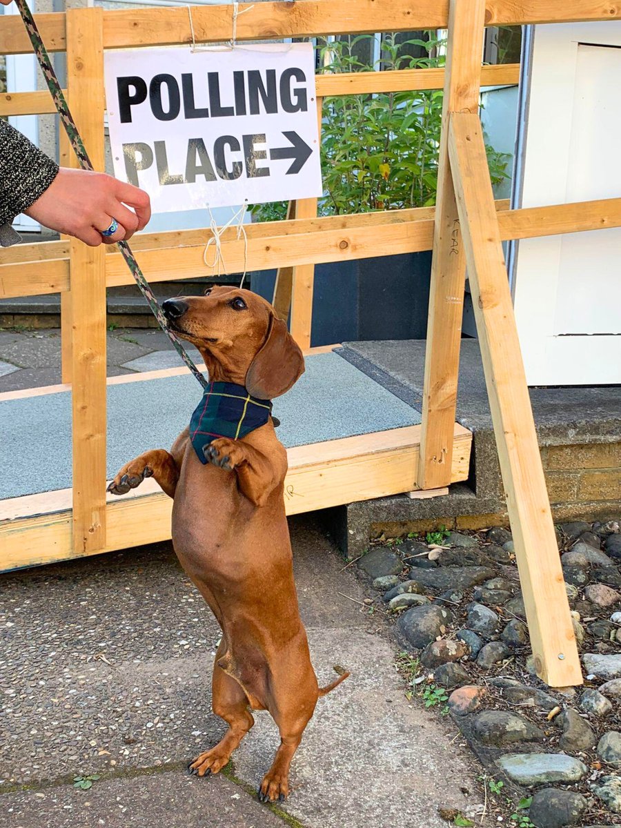 A pawsome sight at polling stations! #DogsAtPollingStations 🐾

With or without a furry friend by your side, nature &amp; climate need your vote today. It could help bring our world back to life. 🌍

#GeneralElection2024 #GE2024