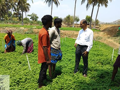 corecarbonx's tweet photo. Transforming Indian Agriculture: Empowering Farmers, Protecting the Planet 🌱

We're partnering with an agri-tech company to transform 6 clusters across 3 states, empowering 5,400 farmers with regenerative practices.

Learn more: https://t.co/1Jt7FG5Kbq

#SustainableAgriculture https://t.co/tg6xvTx32w