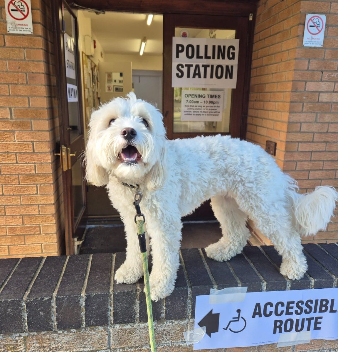 #dogsatpollingstations