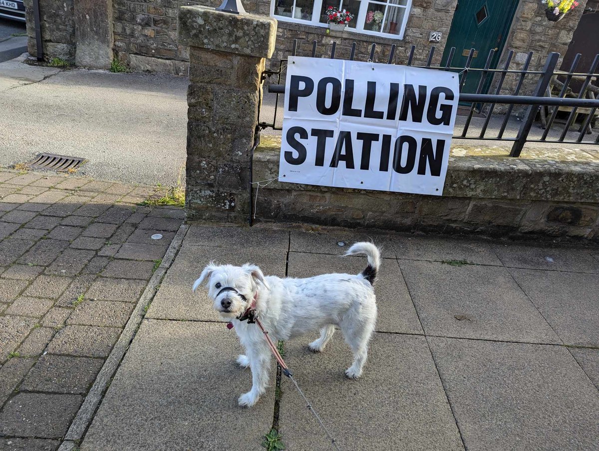 It was the one-eyed tyke's first time voting in Lancashire, having moved over the Pennines at the age of 9.  She was a very good girl.  And yes <a href="/GrahamLiver/">Graham Liver</a> she was allowed inside! #dogsatpollingstations