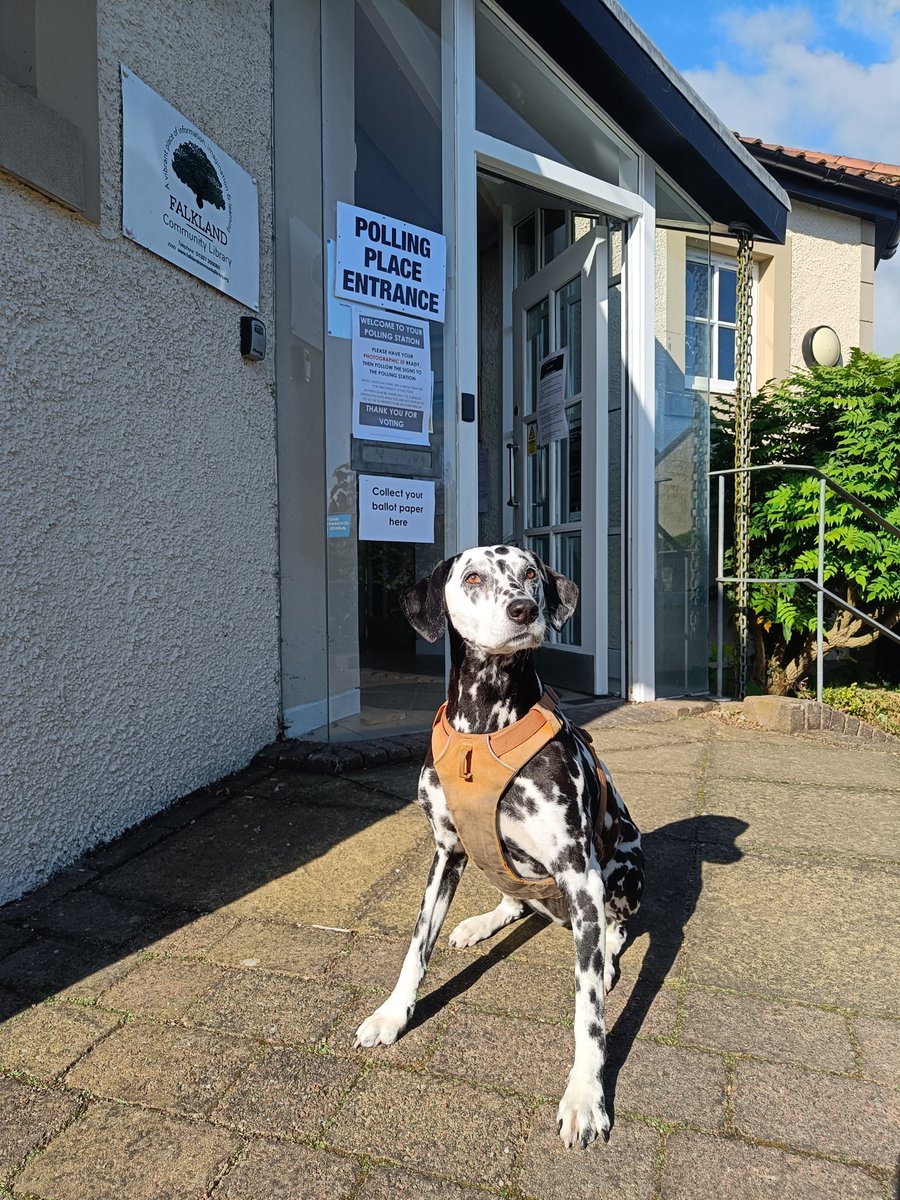 #DogsAtPollingStations
#DogsAtPawlingStations
#DogsWhoWanderOffIntoPollingStationsWhenTheyShouldnt
#FuckTheTories