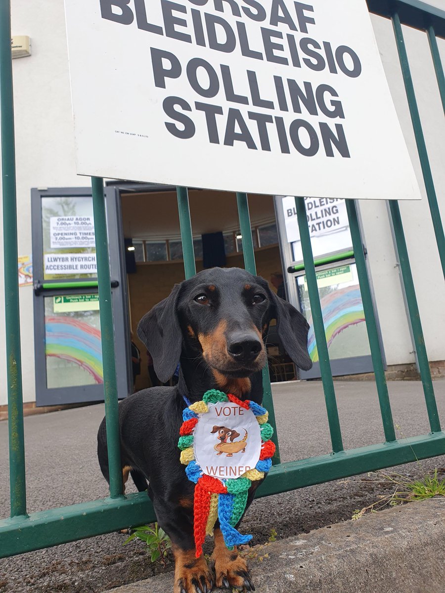 djdames1's tweet photo. @BBCNews @VotingDogs https://t.co/Viv598IZXV