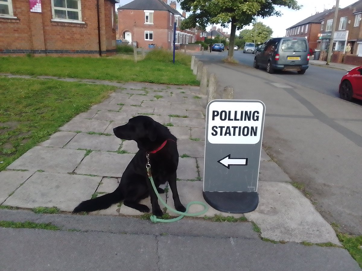 Voting done nice &amp; early. #Dogsatpollingstations