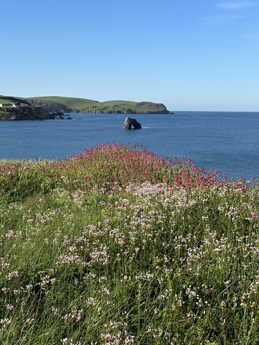 It’s a beautiful day in the South Hams 😀☀️#vote