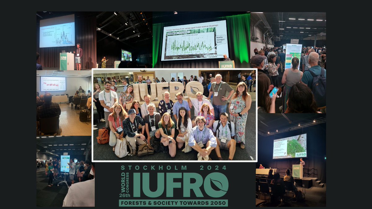 Yamina Micaela Rosas (@ym_rosas) on Twitter photo 😊Had an amazing experience at #IUFRO2024 last week with my colleagues from IGN University of Copenhagen.
Their outstanding presentations still resonate with me 🙌
<a href="/sebastiankpr/">sebastiankr</a>
<a href="/DavideBarsotti/">DavideBars</a>
<a href="/KarelleRheault/">Karelle Rheault</a>
<a href="/RiisSoil/">Jesper Riis Christiansen</a>
<a href="/ludo_dimpe/">Ludovica D'Imperio</a>
<a href="/uni_copenhagen/">University of Copenhagen</a> #ForestScience 😊Had an amazing experience at #IUFRO2024 last week with my colleagues from IGN University of Copenhagen.
Their outstanding presentations still resonate with me 🙌
<a href="/sebastiankpr/">sebastiankr</a>
<a href="/DavideBarsotti/">DavideBars</a>
<a href="/KarelleRheault/">Karelle Rheault</a>
<a href="/RiisSoil/">Jesper Riis Christiansen</a>
<a href="/ludo_dimpe/">Ludovica D'Imperio</a>
<a href="/uni_copenhagen/">University of Copenhagen</a> #ForestScience