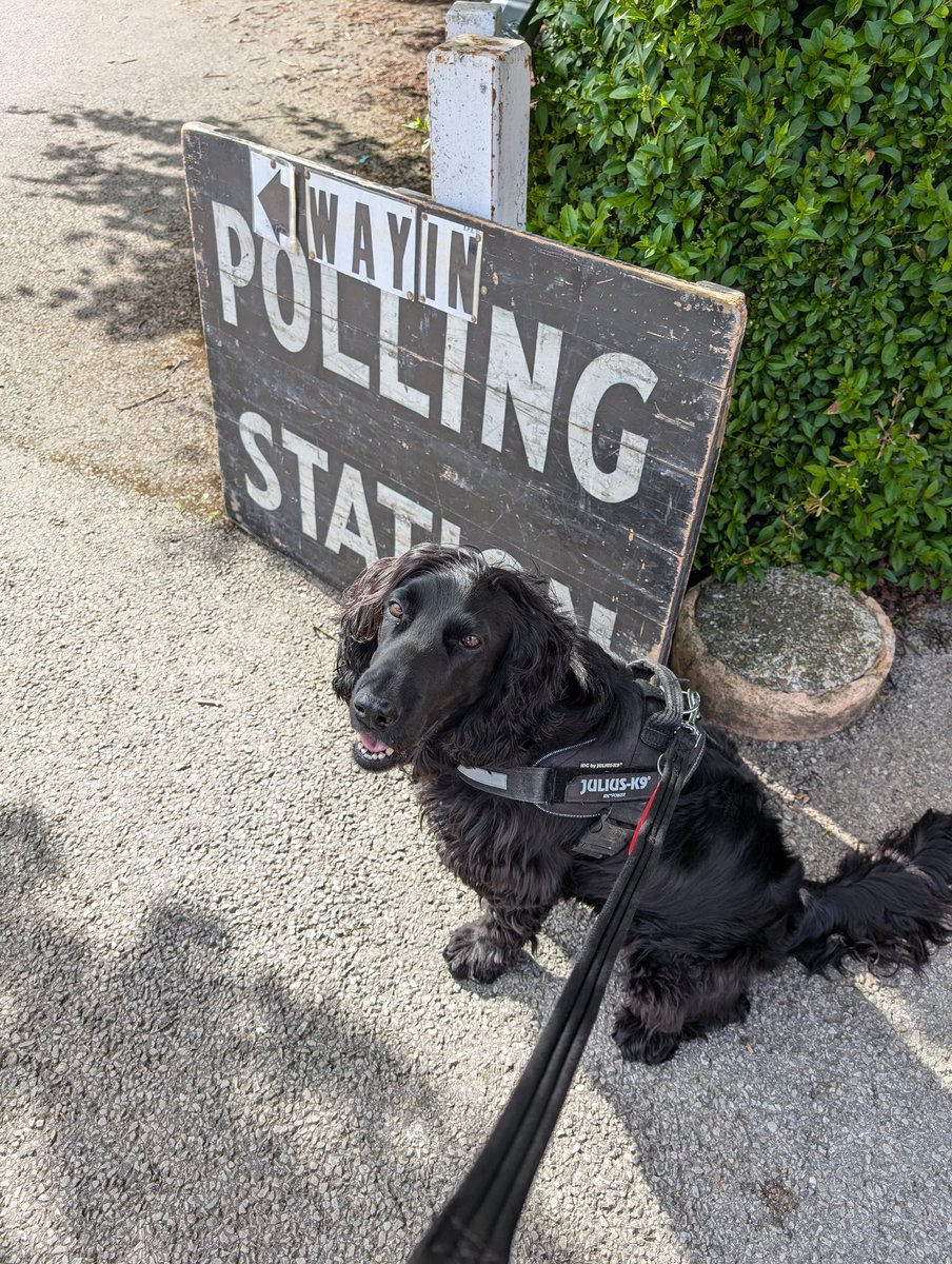 Zero says (again), don't vote Tory and thankfully we don't have a RacistUk candidate. #dogsatpollingstations #GE24 #generalection2024