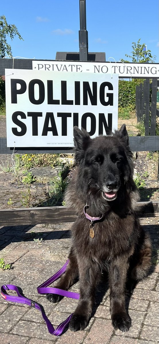 AndyWinmill's tweet image. The dog ain’t for turning!  #dogsatpollingstations #VoteLabour