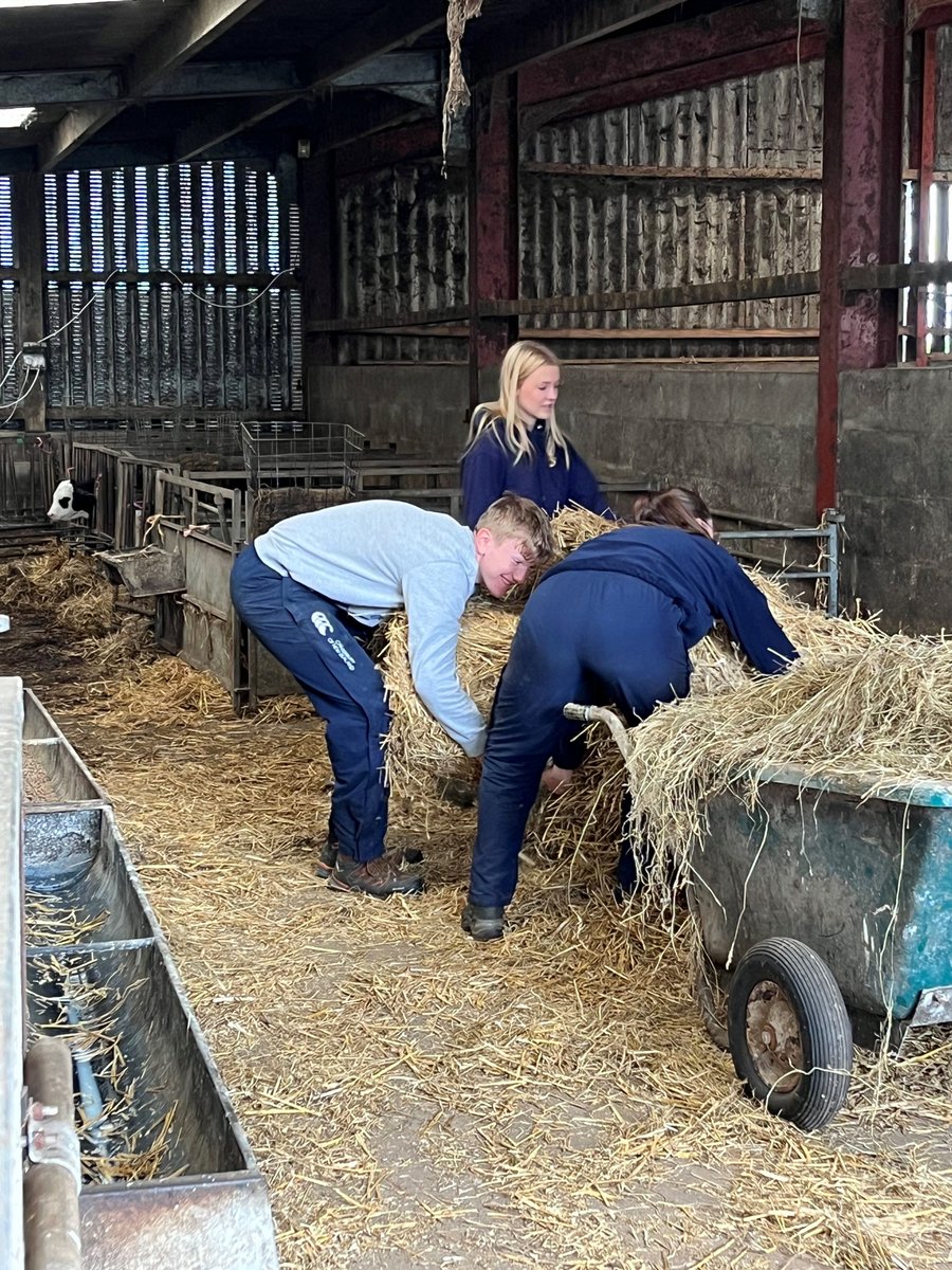 St Bees School tweet media