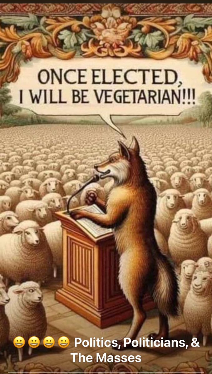 P.N.G. Insight tweet media