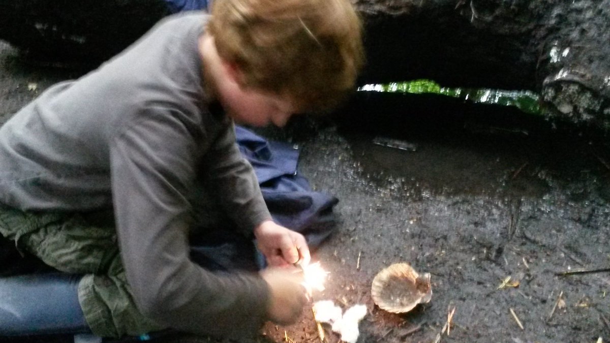 Railway Land Wildlife Trust tweet media