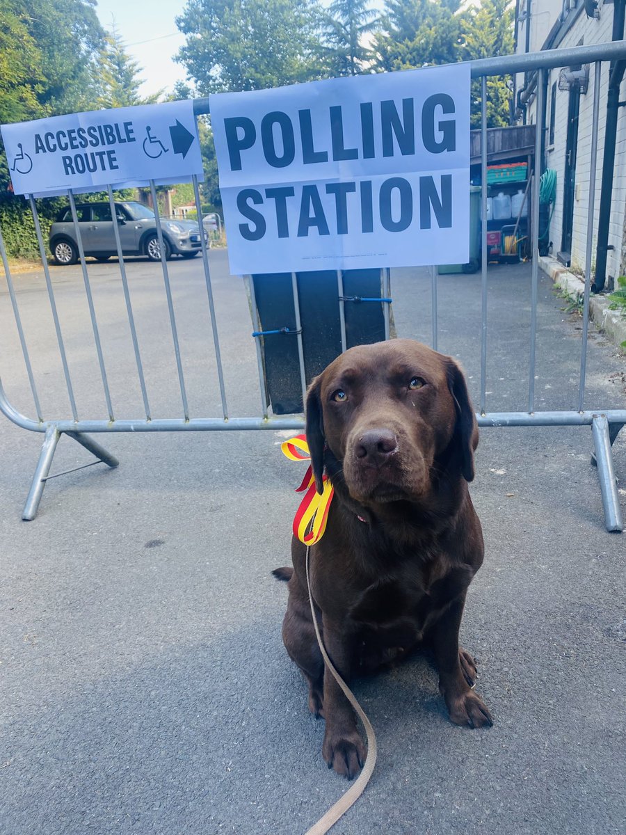 Meme Macaron 🇺🇦🇪🇺💙 tweet media