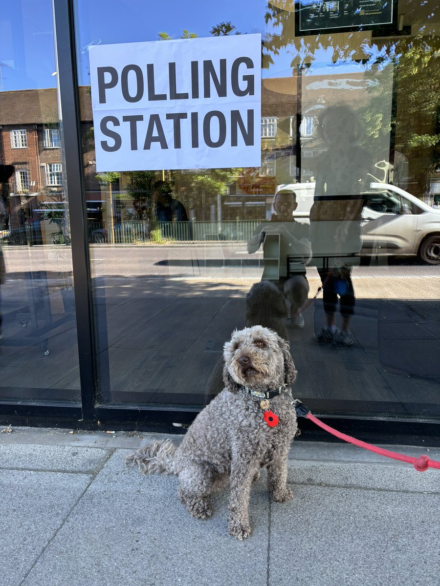 dg252's tweet photo. Poppy looks undecided. But is that a red rosette? Or is it just a poppy? @VotingDogs #DogsAtPollingStations https://t.co/eB26TgPBbF