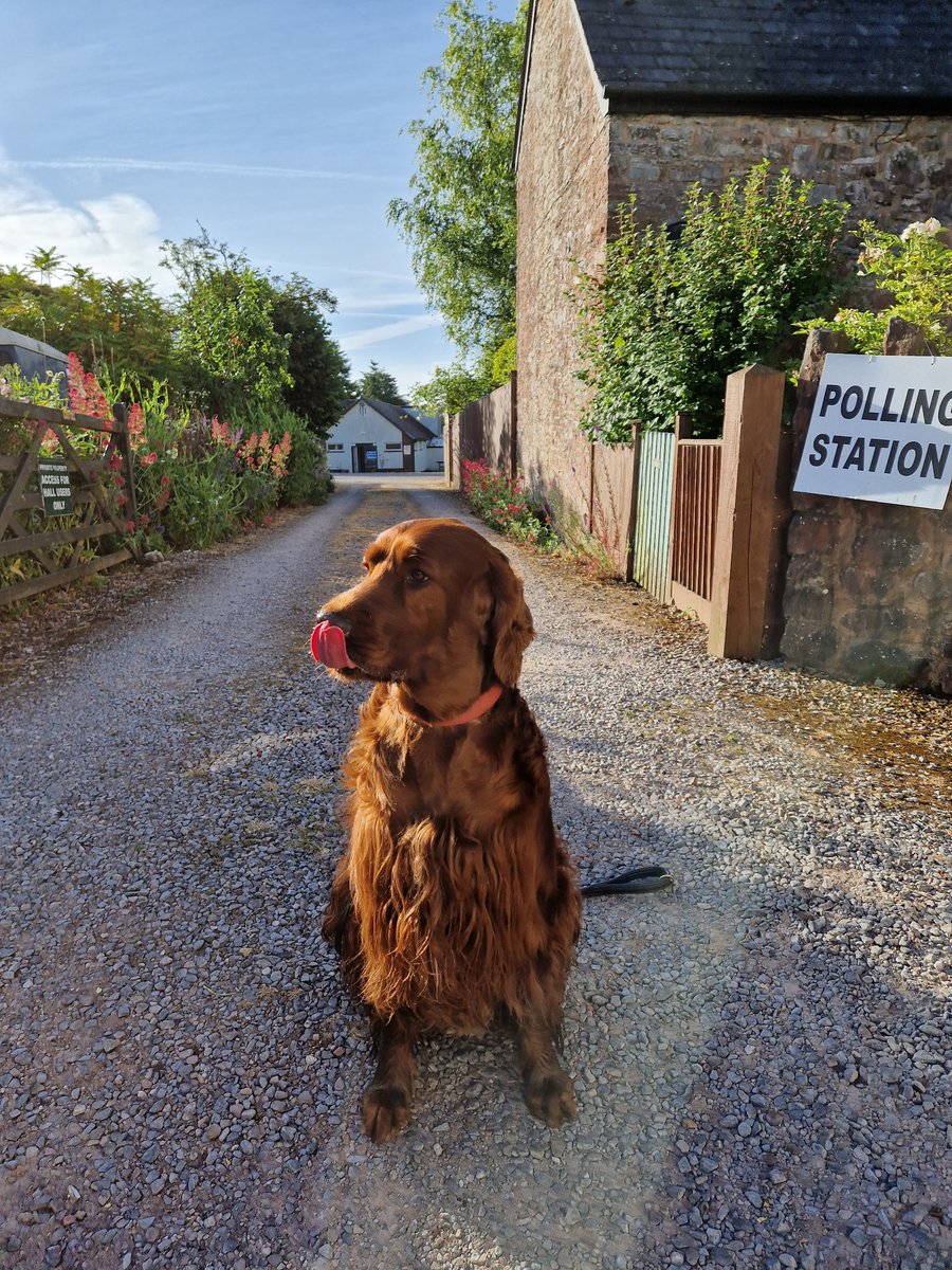 triggs_george's tweet photo. #dogsatpollingstations https://t.co/J1ch3nw34F