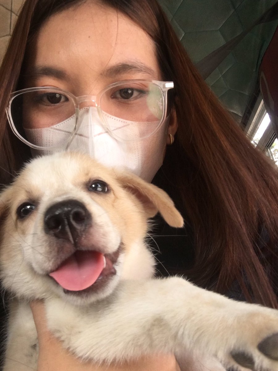 aereyaaa's tweet photo. had to rehome my baby today. I’m gonna be balling my eyes out days on end https://t.co/GhQSzbe2Io