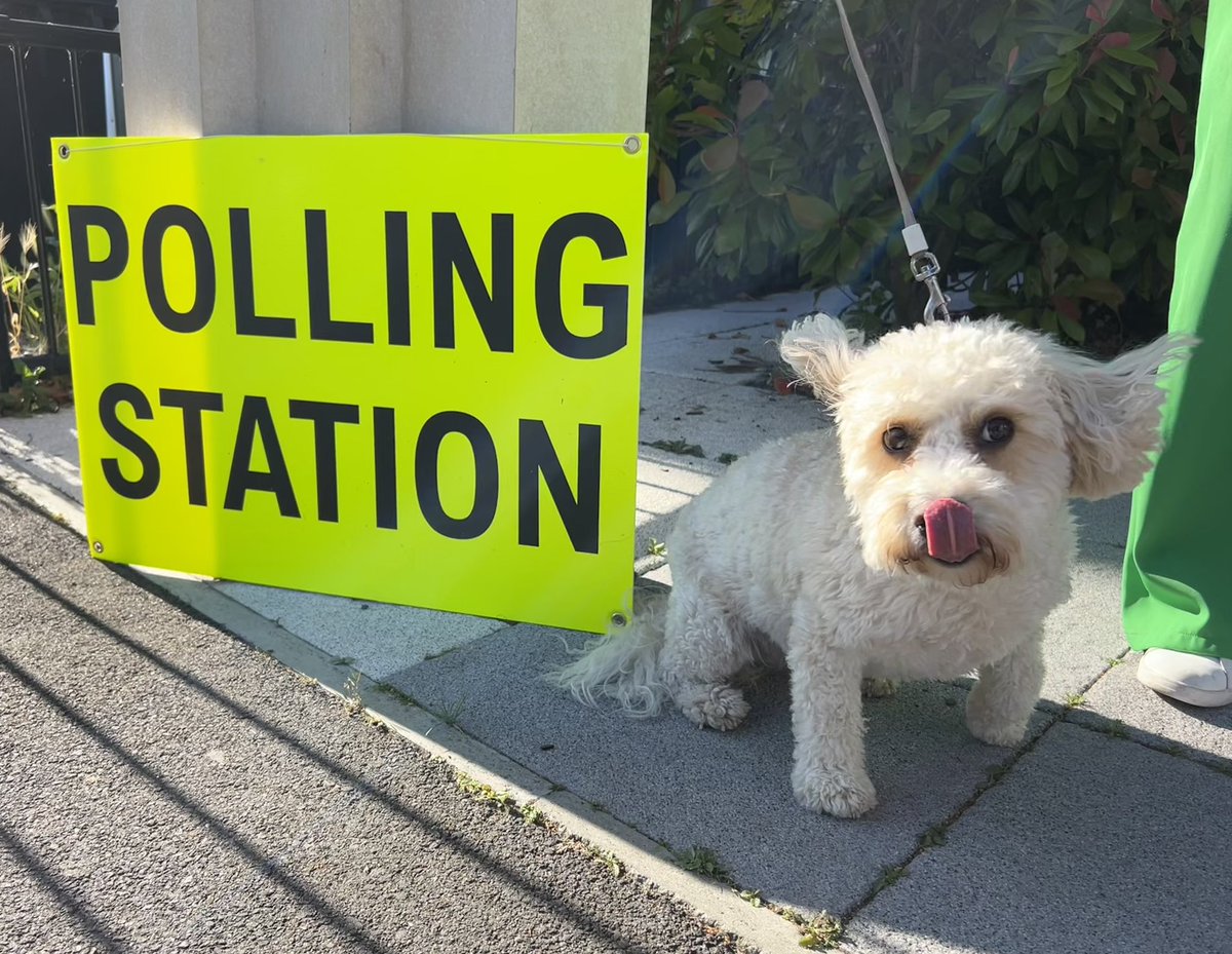 willrostron's tweet photo. Having a lovely time #dogsatpollingstations https://t.co/HUPVuWSpXb