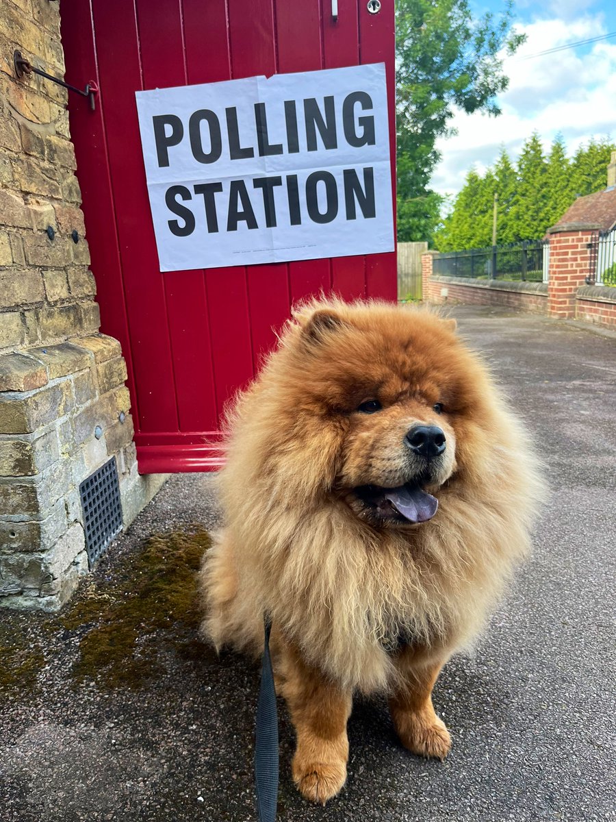 HTNeale's tweet image. Pablo is voting for whoever lowers cheese prices the most #Dogsatpollingstations #GeneralElection2024 #GE24