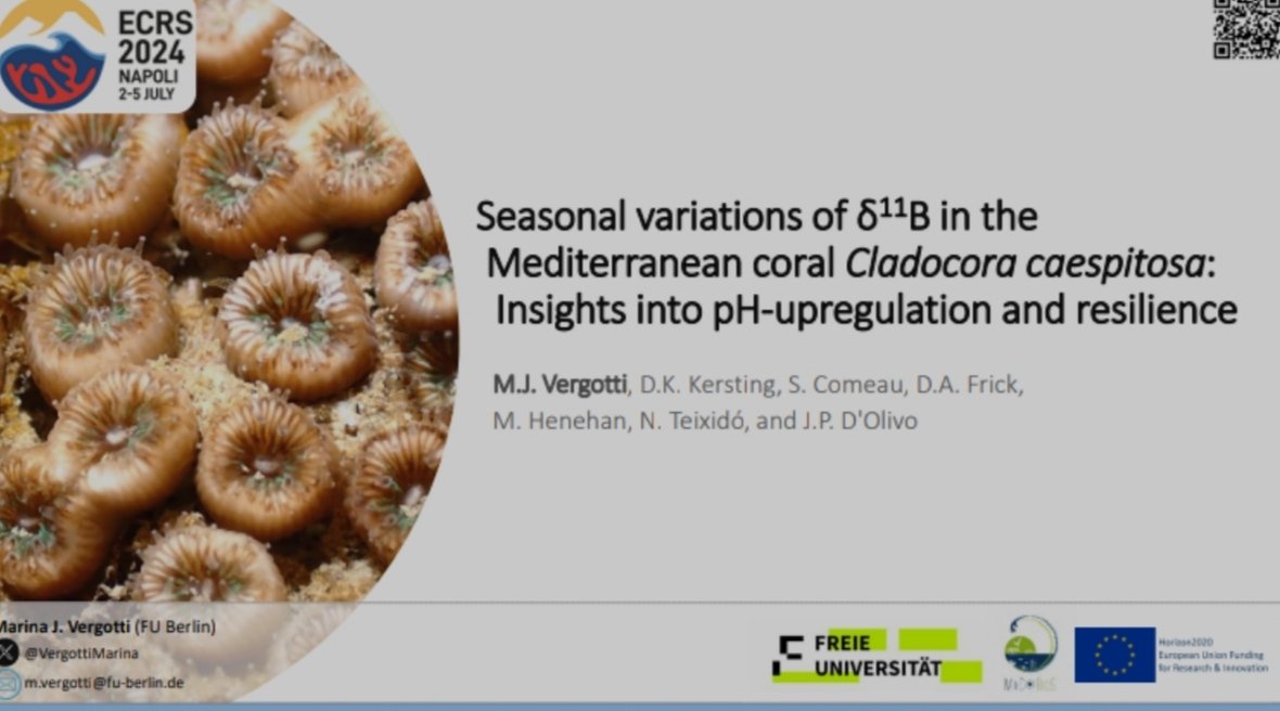 Are you interested in pH reconstructions and Boron isotopes? Do you want to hear about Mediterranean scleractinian corals? Then stop by room Archimede on Friday morning! I will be talking about it at 11:06 in the Shallow Temperate Reefs session 7 of the #ECRS2024 🪸