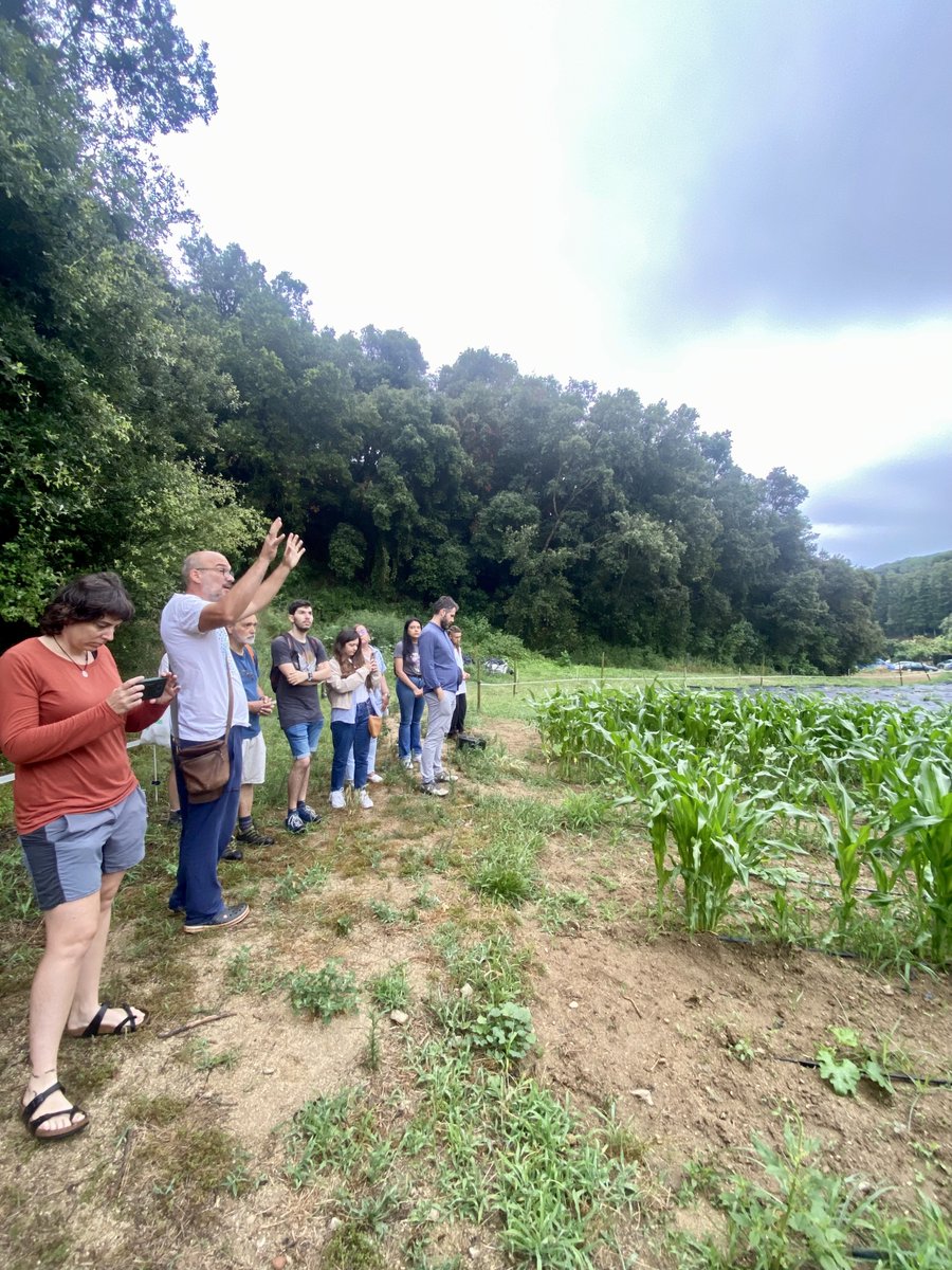 marinaperezll's tweet photo. Dia de visites amb en Nacho Peres de la Fundació Ferrer Sustainability i a Vallalta Vinícola al Maresme. Ambdós projectes integren la regeneració de sòls en les seves pràctiques agrícoles, el leitmotiv del nostre grup, d' Agrobiologia de Sistemes Agrícoles! 

@JRomanya @insa_ub https://t.co/3r2TedggLf