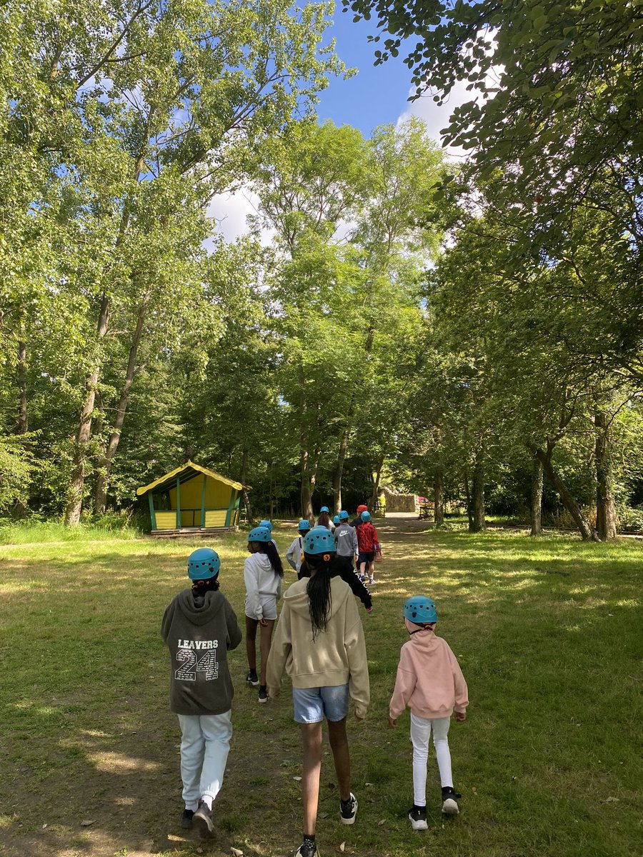 MBPSYear6 tweet media