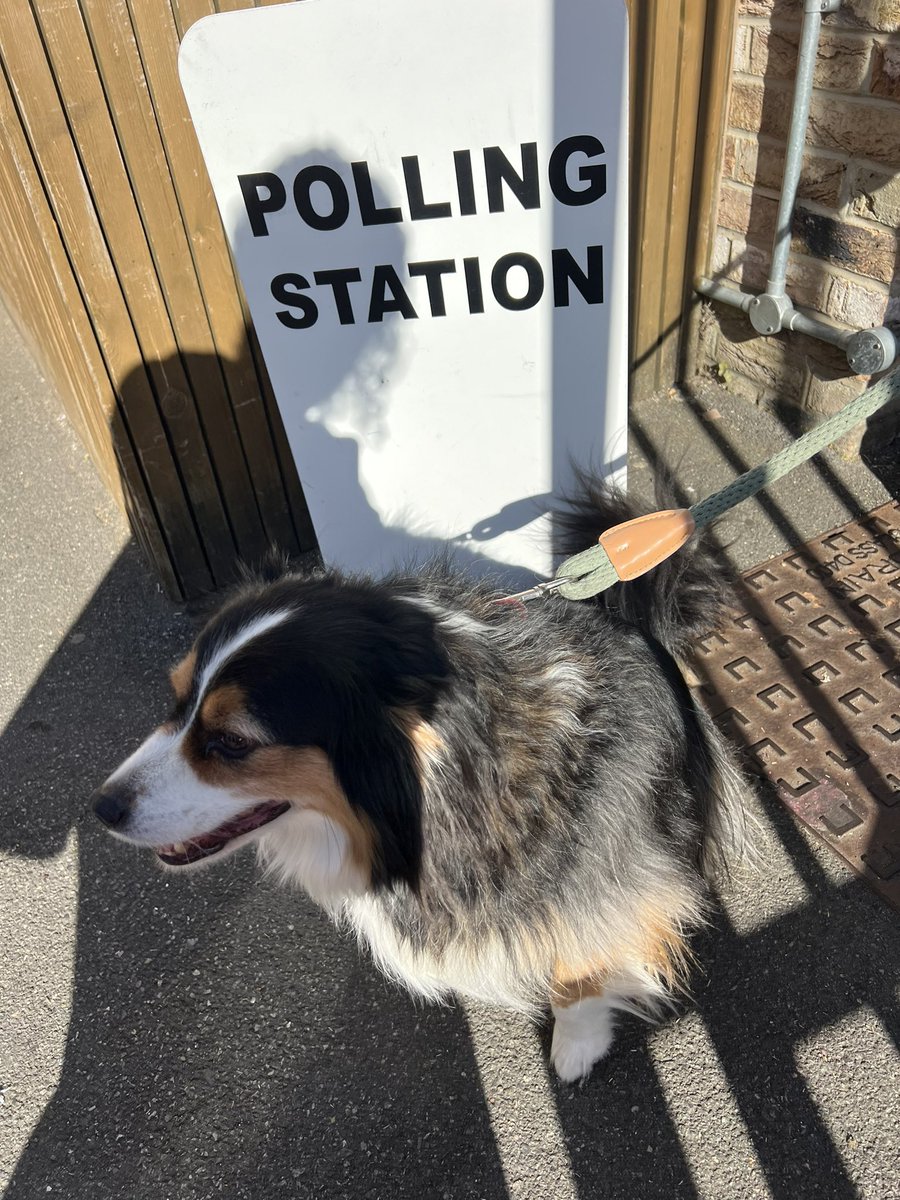 Democratic duty exercised. Obligatory #dogsatpollingstations picture #Elections2024