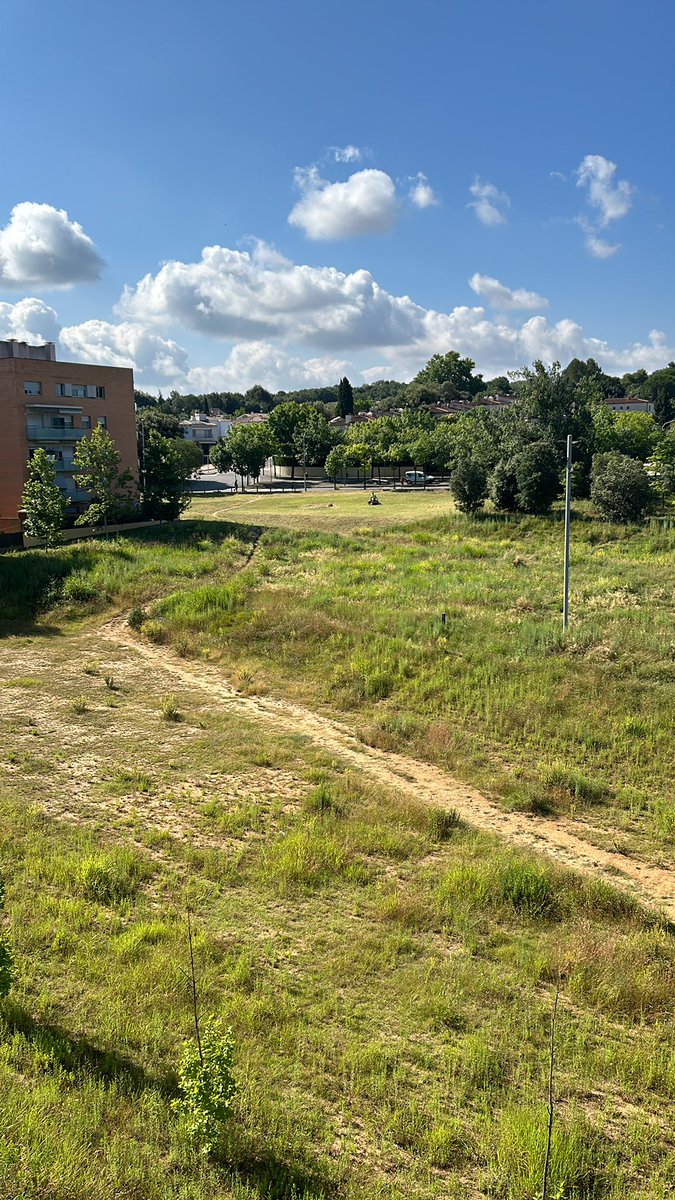 Albert Valera tweet media