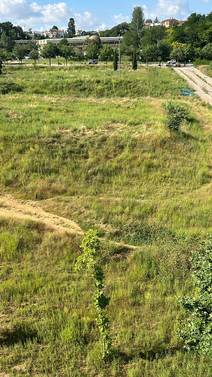 Albert Valera tweet media